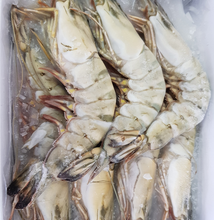 Load image into Gallery viewer, Black Tiger Head On Prawns 6/8 700g - GIANTS
