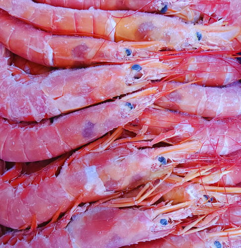 Argentinian Head On Prawns L2 (Large) 20/30 prawn p/kg - R225.00 p.kg- packed 2kg **SAVE R75.00**