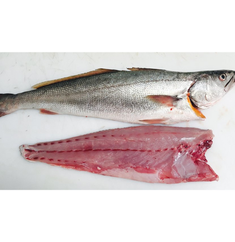 Cape Salmon Fillets  - R200 per fillet **SAVE R50**