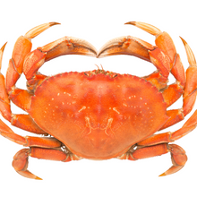 Load image into Gallery viewer, Crab - Namibian Golden Crab Whole - average pack weighs 1.20kg - pack of 2 crabs