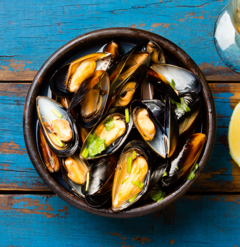 Half Shell Musse Mussels – Captain Haddock Seafood Market