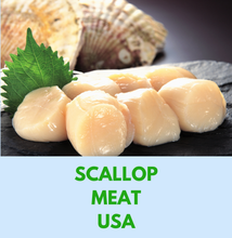 Load image into Gallery viewer, Scallop Meat 900g (USA)- 20/40 LARGE