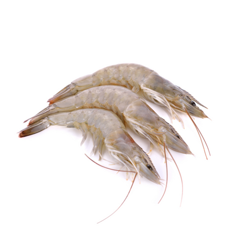 Vannamei Head On Prawns 31/40 800g - Prince - Whole & Uncleaned