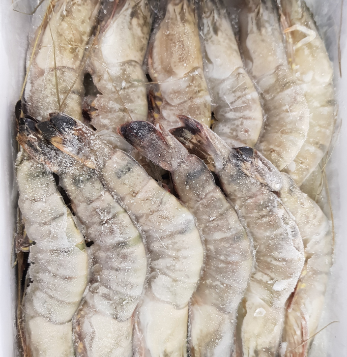 Black Tiger Head On Prawns 13/15 700g - Large Kings **SAVE R25**