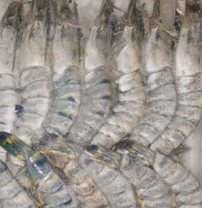 Black Tiger Head On Prawns 16/20 700g - King **SAVE R55.00**