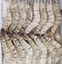 Load image into Gallery viewer, Black Tiger Head On Prawns 21/25  700g - Medium