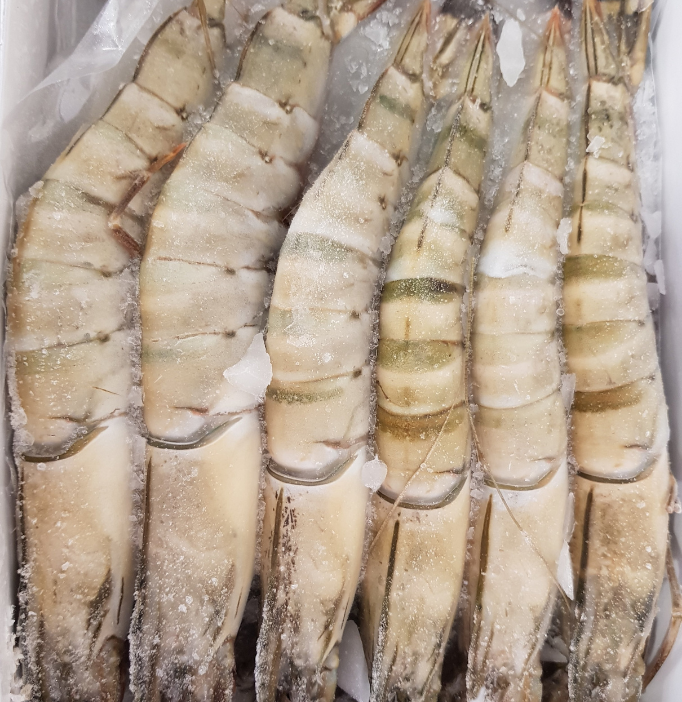 Black Tiger Head On Prawns 4/6 700g - KING GIANTS