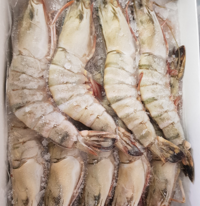 Black Tiger Head On Prawns 8/12 700g - Extra Large Kings **SAVE R20.00**