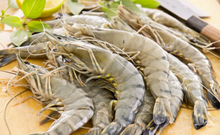Load image into Gallery viewer, Black Tiger Head On Prawns 21/25  700g - Medium