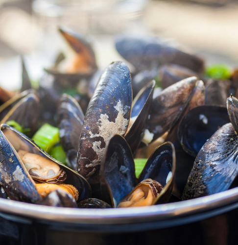 Saldanha Blanched FULL Shell Mussels - 908g