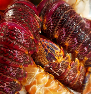 Crayfish Tails - 10 tails - 2 PACKS / 20 TAILS **2 PACKS FOR R600 **SAVE R100**