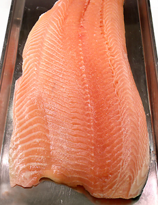 Norwegian Salmon Fillets FRESH